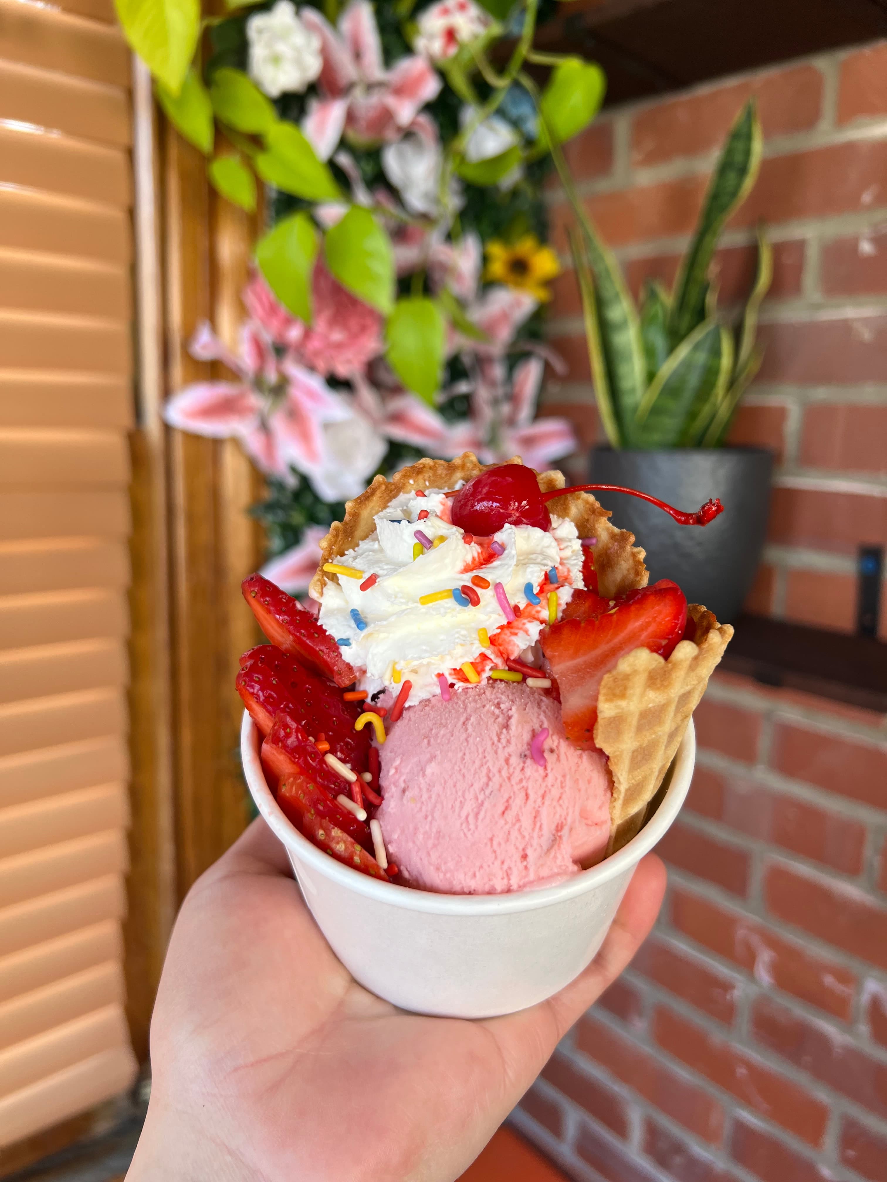 Ice Cream